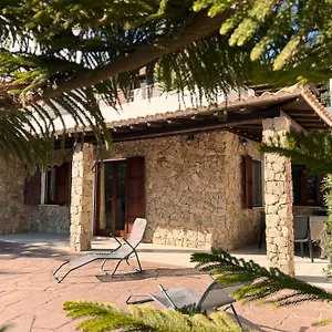 Renato Porto Pino